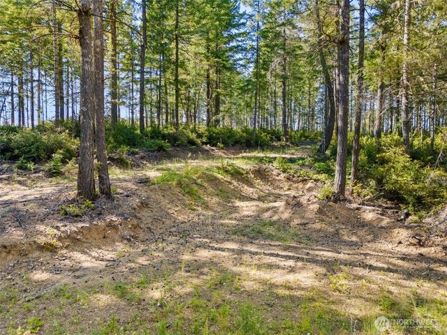 0 TR3 E Mason Lake Road, Grapeview, WA 98546