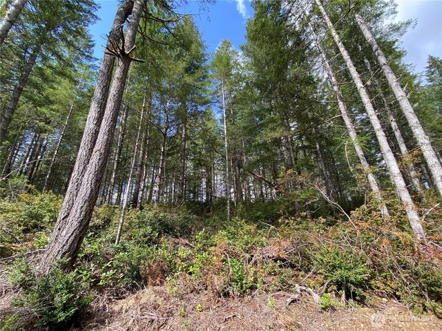 0 TR3 E Mason Lake Road, Grapeview, WA 98546