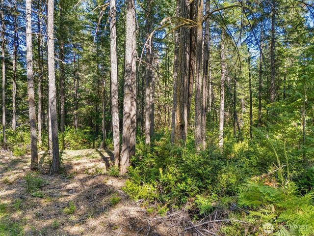 0 TR3 E Mason Lake Road, Grapeview, WA 98546