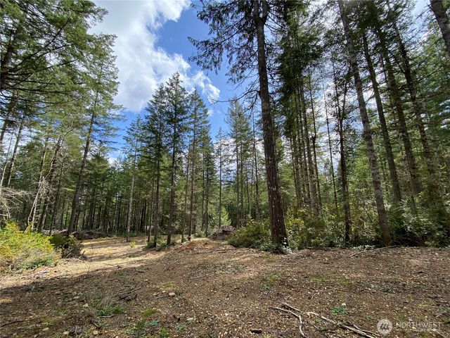 0 TR3 E Mason Lake Road, Grapeview, WA 98546
