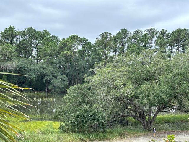 320 Longshore Street Unit 1025, Charleston, SC 29492