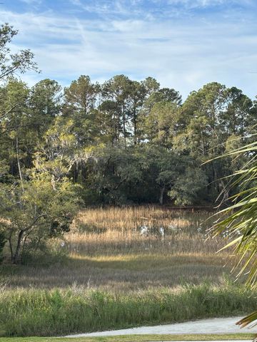 320 Longshore Street Unit 1025, Charleston, SC 29492