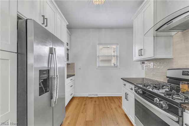 1252 Andrews Avenue, Lakewood, OH 44107
