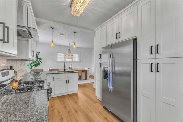 1252 Andrews Avenue, Lakewood, OH 44107