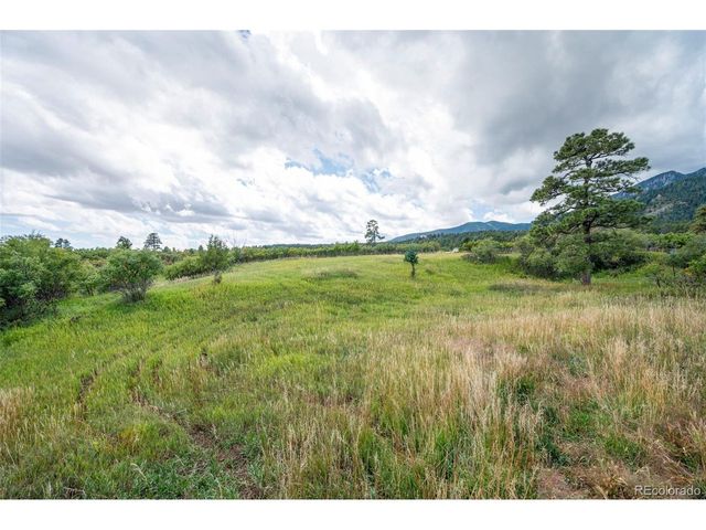 10650 Baxter Rd, Rye, CO 81069