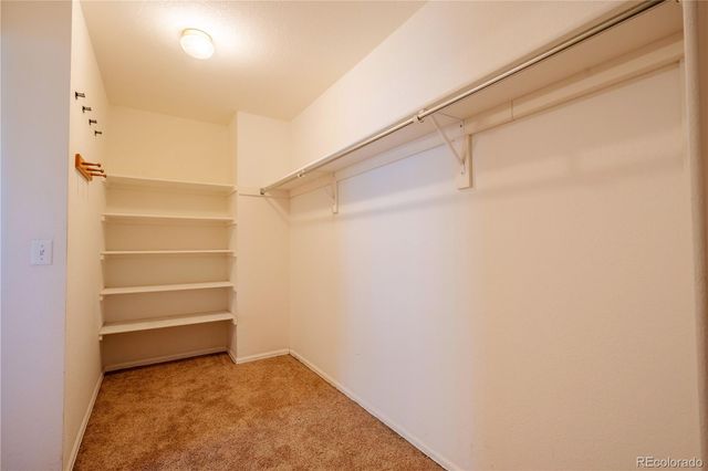 10624 Sedgwick Way, Parker, CO 80134