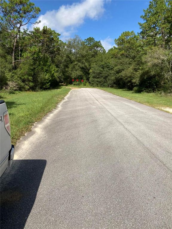 Image 2 of property listing at TBD SW 54TH STREET, Dunnellon, FL 34431