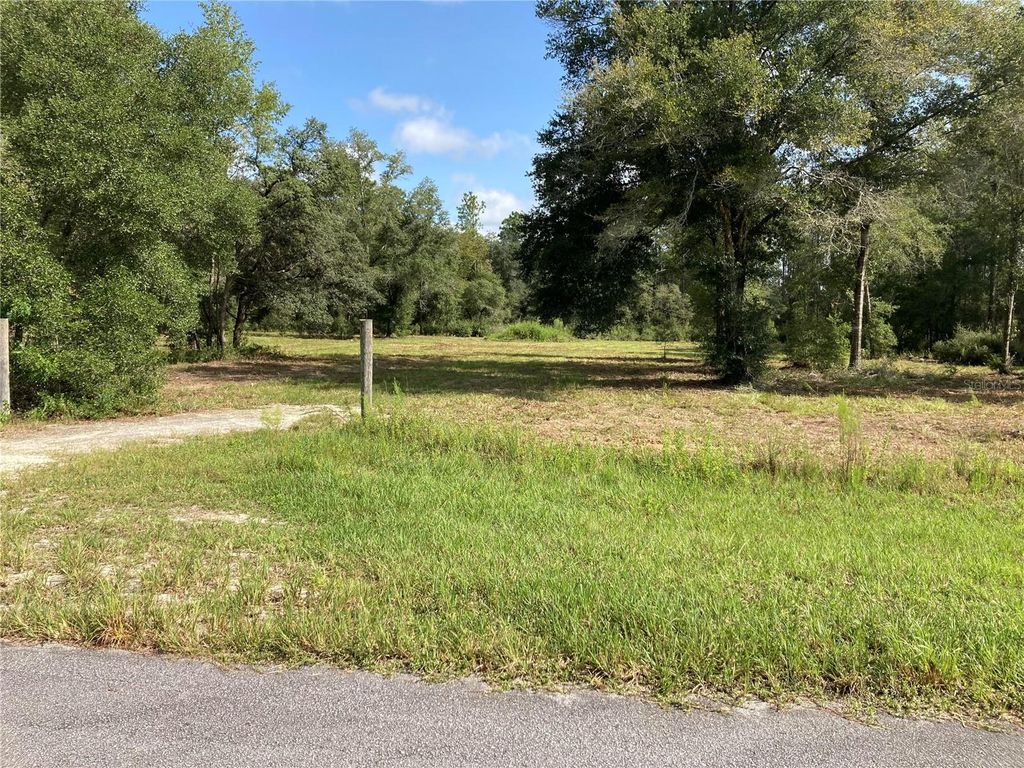 Image 3 of property listing at TBD SW 54TH STREET, Dunnellon, FL 34431