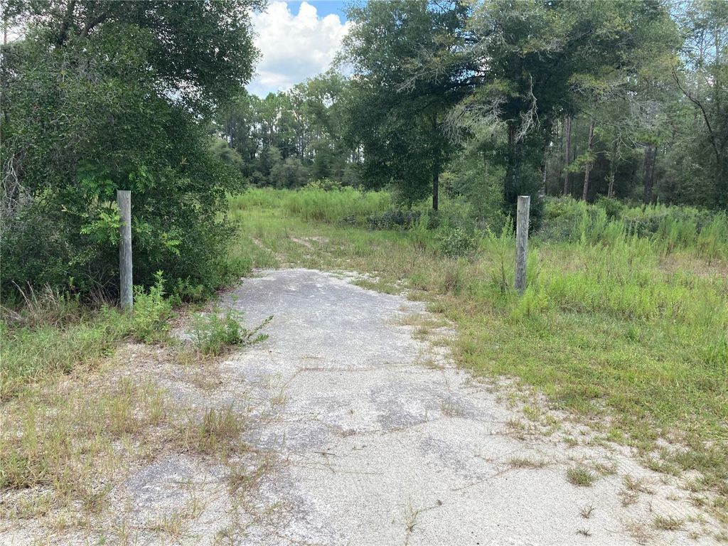Image 5 of property listing at TBD SW 54TH STREET, Dunnellon, FL 34431