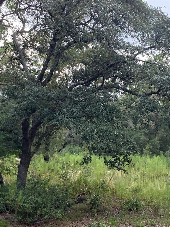 Image 6 of property listing at TBD SW 54TH STREET, Dunnellon, FL 34431