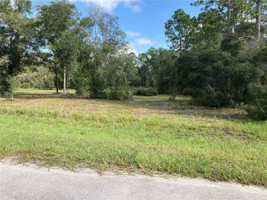 Image 7 of property listing at TBD SW 54TH STREET, Dunnellon, FL 34431