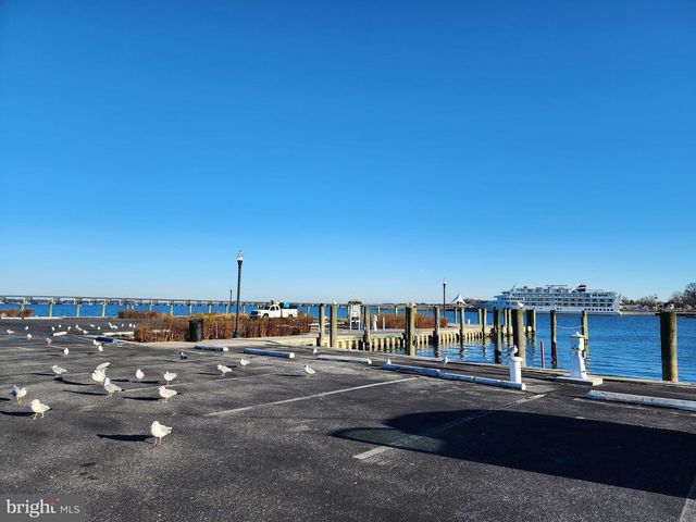 401 WOOD DUCK DR, Cambridge, MD 21613