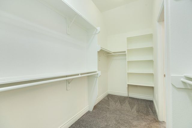 3209 Seneca Landing Lane, Pearland, TX 77584