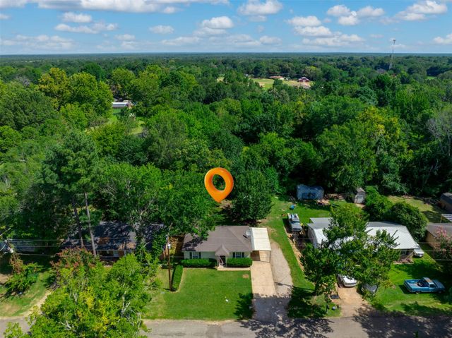 6295 Lakeview Drive, Reno, TX 75462