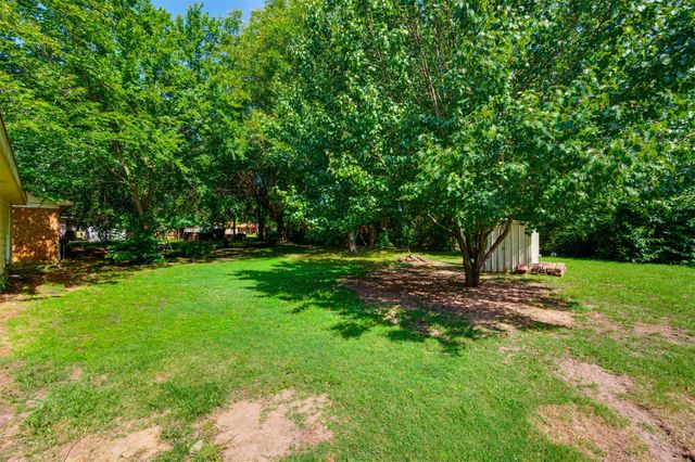 6295 Lakeview Drive, Reno, TX 75462