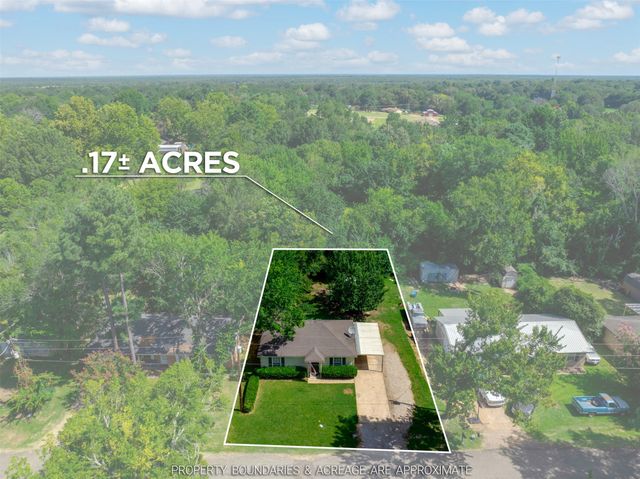 6295 Lakeview Drive, Reno, TX 75462
