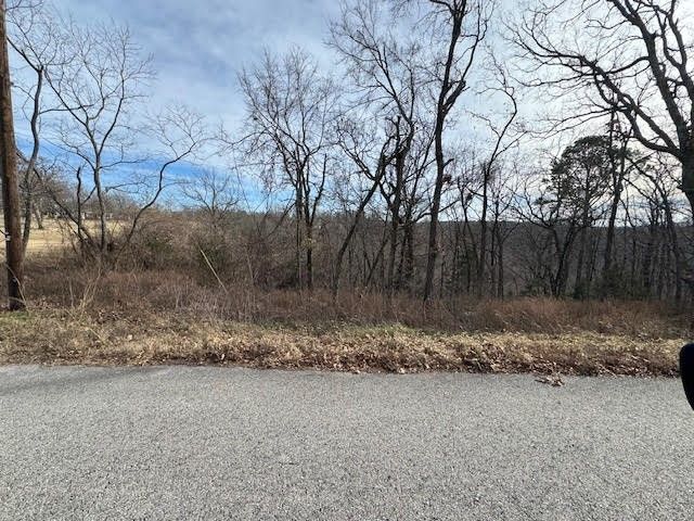 7 S Hills Loop, Holiday Island, AR 72631