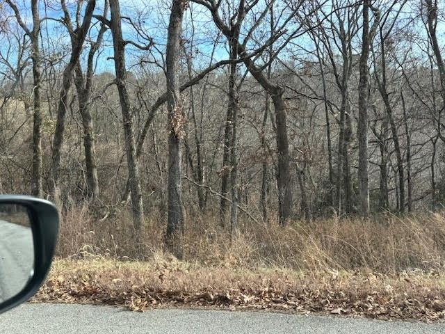 7 S Hills Loop, Holiday Island, AR 72631