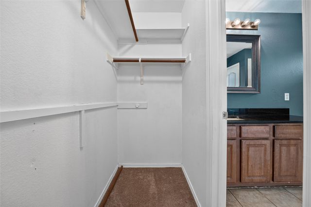 3101 Etheredge DR, Austin, TX 78725