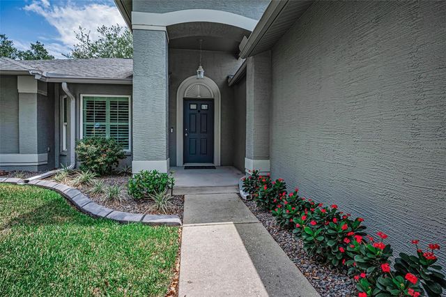 1300 FALLOWFIELD DRIVE, Trinity, FL 34655