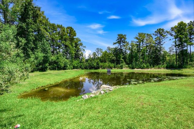160 Baylee Circle, Galivants Ferry, SC 29544