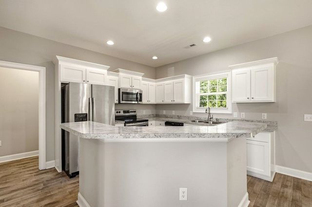 160 Baylee Circle, Galivants Ferry, SC 29544