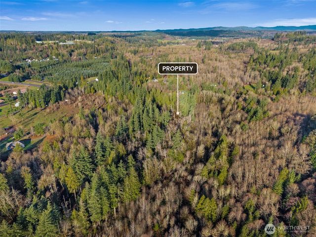 0 US Hwy 12, Mossyrock, WA 98564