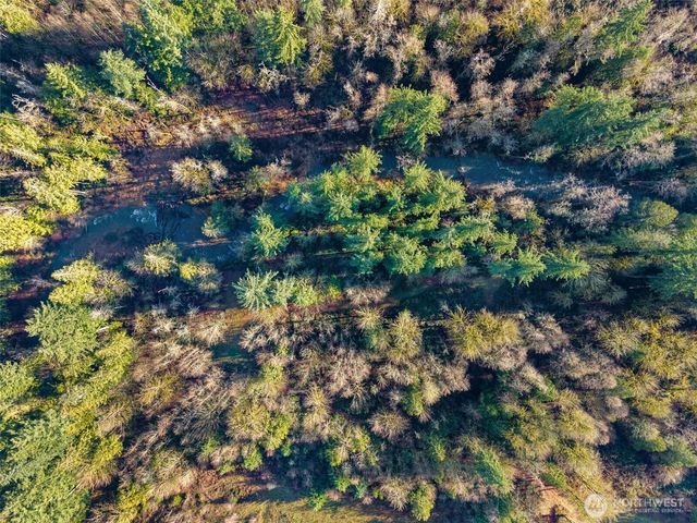 0 US Hwy 12, Mossyrock, WA 98564