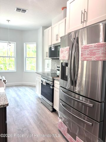 13193 Barnevelde Road, Brooksville, FL 34614