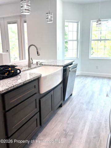 13193 Barnevelde Road, Brooksville, FL 34614
