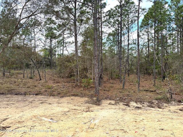13193 Barnevelde Road, Brooksville, FL 34614