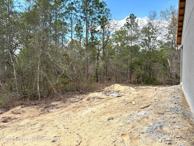 13193 Barnevelde Road, Brooksville, FL 34614