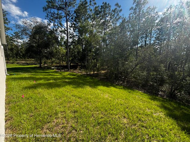 13193 Barnevelde Road, Brooksville, FL 34614