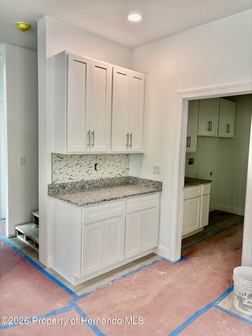 13193 Barnevelde Road, Brooksville, FL 34614