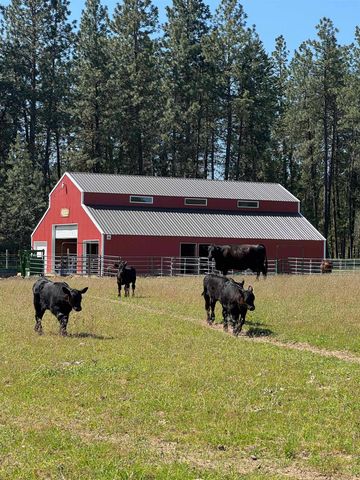 21411 N Spotted Rd, Deer Park, WA 99006