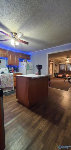 612 NW Stewart Street, Hartselle, AL 35622