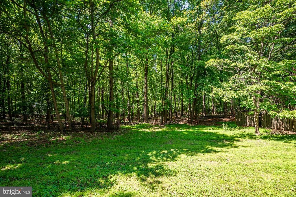 Image 54 of property listing at 4420 HIGHBORO DR, Mount Airy, MD 21771
