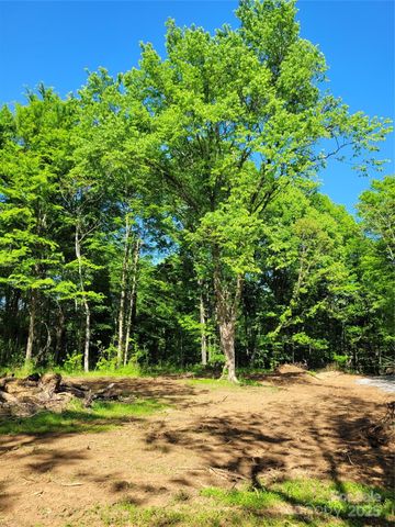 00 John Morgan Road, Gold Hill, NC 28071