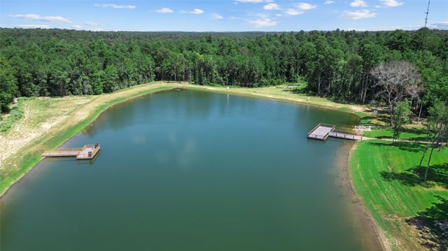 135 Hollow Hill Drive, New Waverly, TX 77358