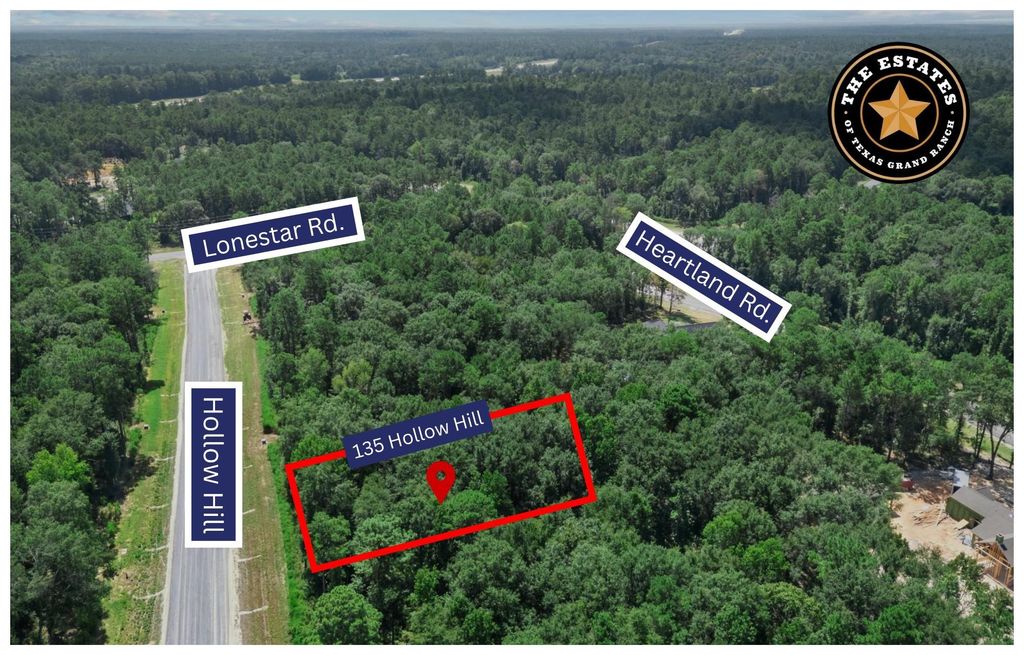 135 Hollow Hill Drive, New Waverly, TX 77358