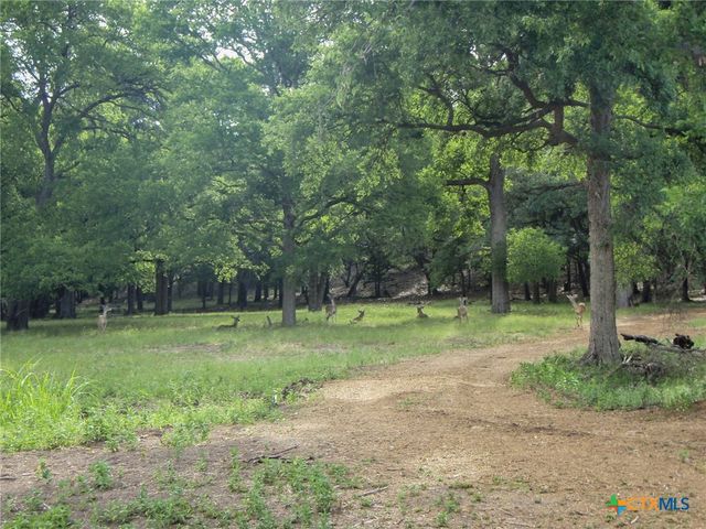 1633 Bella Vista, Canyon Lake, TX 78133