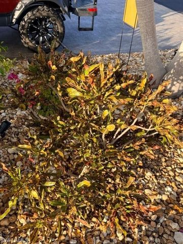 5208 Marsh Mallow TRL, Fort Myers, FL 33905