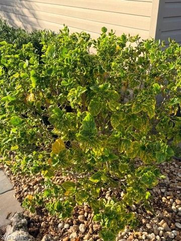 5208 Marsh Mallow TRL, Fort Myers, FL 33905