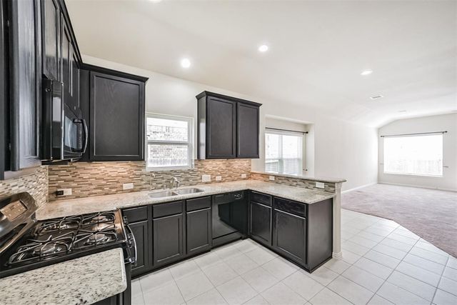 4210 Audrey Manor Lane, Katy, TX 77449