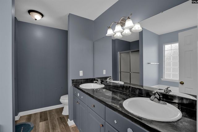 231 Cinnamon Hills Lane, Lexington, SC 29072