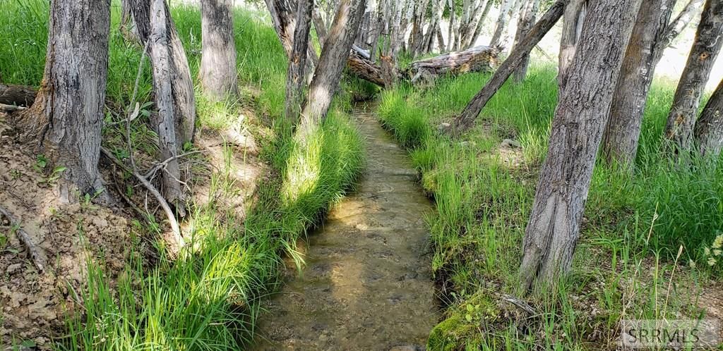 Image 5 of property listing at TBD Fourth Of July Creek Road, North Fork, ID 83466