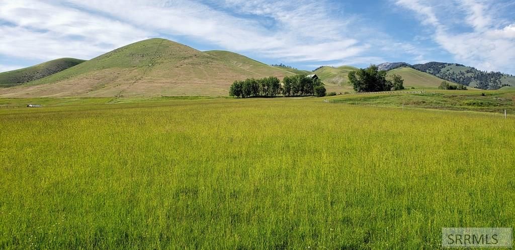 Image 9 of property listing at TBD Fourth Of July Creek Road, North Fork, ID 83466