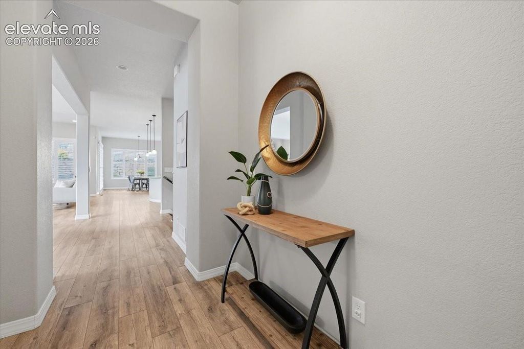 10398 Sharon Springs Drive, Colorado Springs, CO 80924 — photo 5