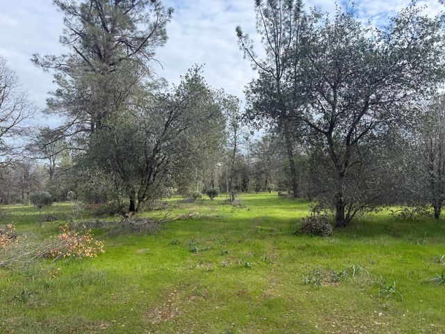 Lot 2 Aegean Way, Happy Valley, CA 96007