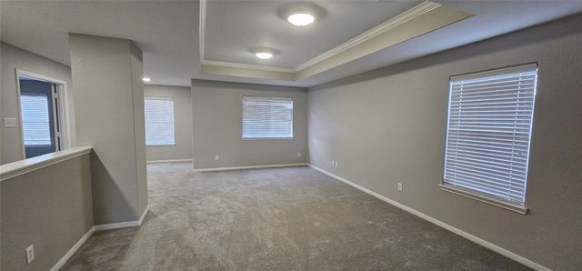 21322 Amesbury Meadow Lane, Spring, TX 77379